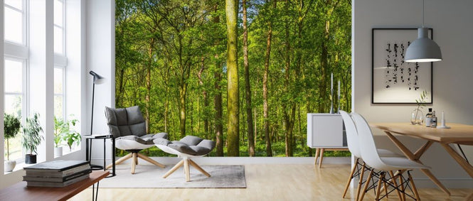 PHOTOWALL / Green Forest (e317945)