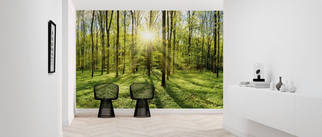 PHOTOWALL / Forest in Bright Sunshine (e317954)