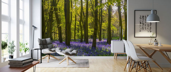PHOTOWALL / Bluebells Woodland (e318022)