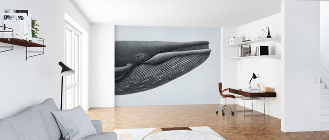 PHOTOWALL / Blue Whale Head (e320009)