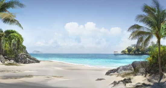 PHOTOWALL / Tropical Sandy Beach (e318946)