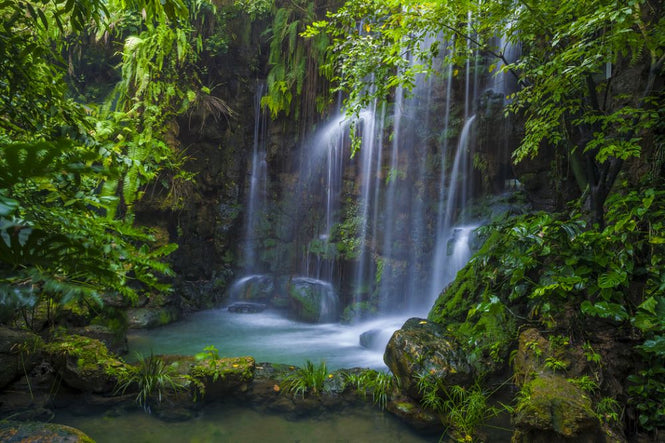 PHOTOWALL / Natural Waterfall (e318271)