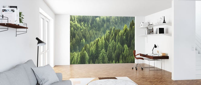 PHOTOWALL / Green Trees in Forest (e318278)