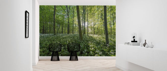 PHOTOWALL / Beechwoods (e318152)