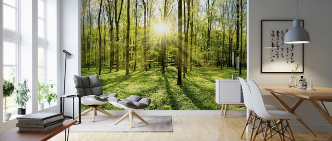 PHOTOWALL / Bright Sunshine in the Forest (e318338)