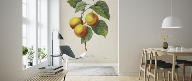 PHOTOWALL / Redoute’s Fruit (e320508)