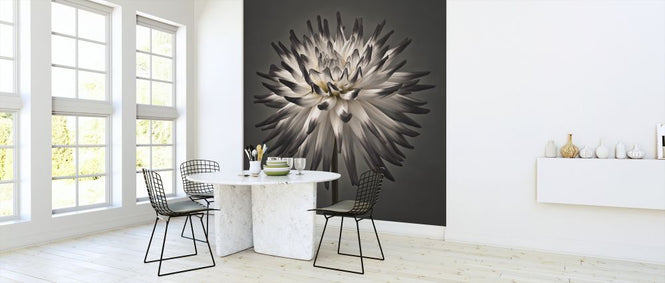 PHOTOWALL / Dahlia Flower (e320984)