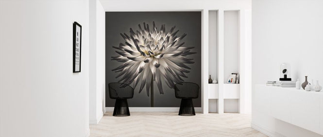 PHOTOWALL / Dahlia Flower (e320984)