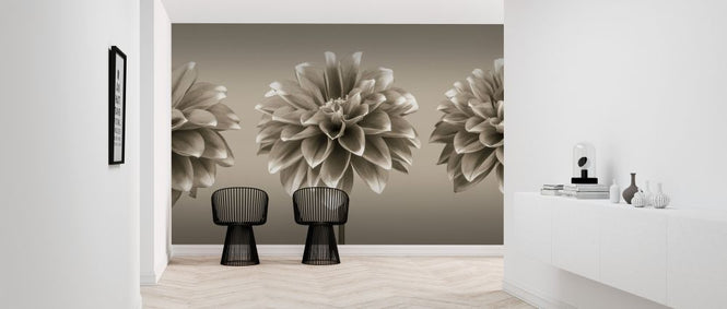 PHOTOWALL / Dahlias - Sepia (e320996)