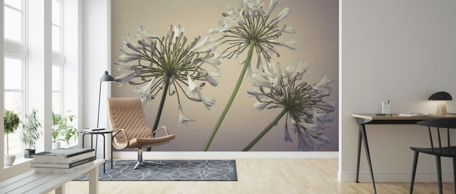 PHOTOWALL / African Lily (e321018)