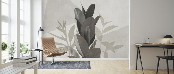 PHOTOWALL / Ficus Elastica V (e321285)