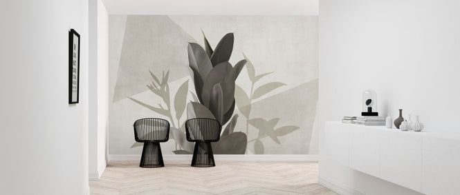 PHOTOWALL / Ficus Elastica V (e321285)