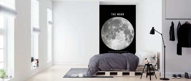PHOTOWALL / Solar System - Moon Mono (e320056)
