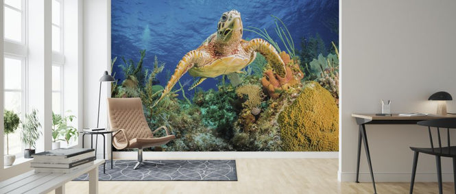 PHOTOWALL / Hawksbill Turtle Swimming (e320727)