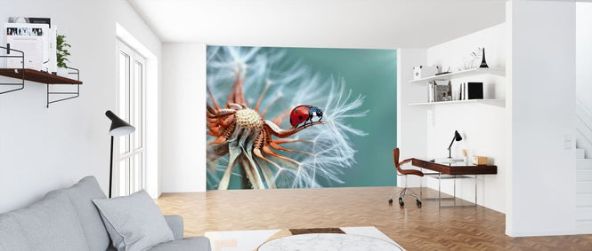 PHOTOWALL / Freedoom (e320732)