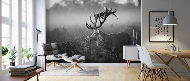 PHOTOWALL / Antler (e320752)
