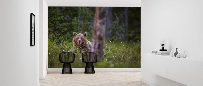 PHOTOWALL / Bear Forest (e321717)