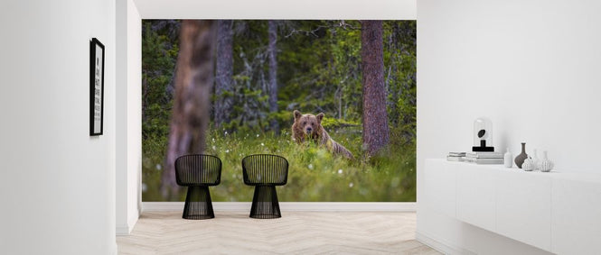 PHOTOWALL / Bear Forest II (e321718)