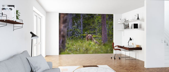 PHOTOWALL / Bear Forest II (e321718)
