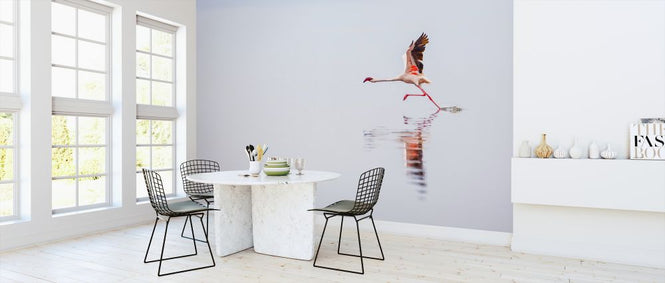 PHOTOWALL / Flamingo Flight (e321740)