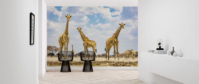 PHOTOWALL / Waterhole (e321812)