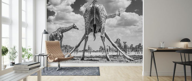 PHOTOWALL / Spread'em - Monochrome (e321817)