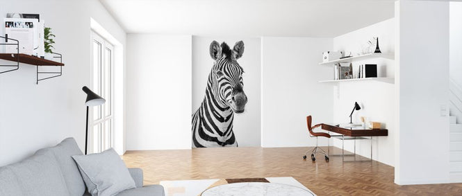 PHOTOWALL / Zebra Dazzle III (e321827)