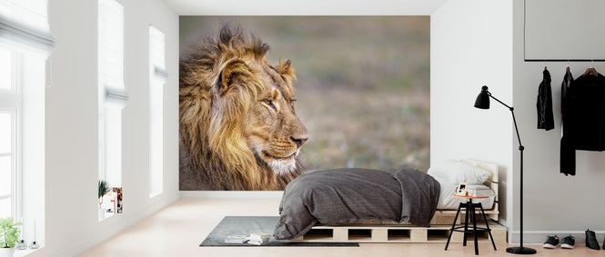 PHOTOWALL / Comfort (e321872)