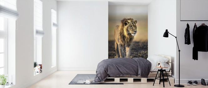 PHOTOWALL / Royal II (e321883)