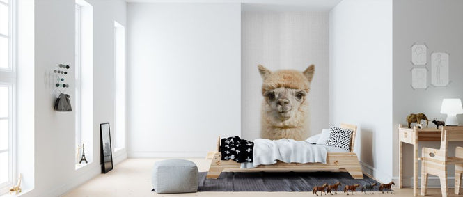 PHOTOWALL / Alpaca (e322751)