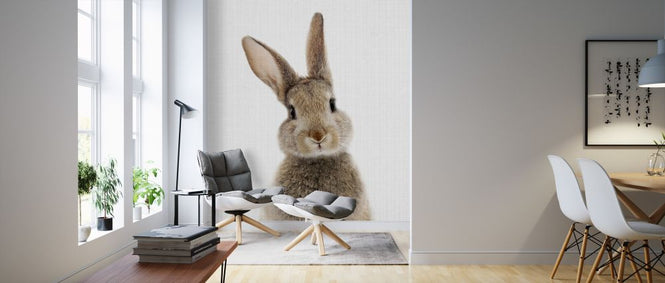 PHOTOWALL / Bunny Rabbit (e322753)