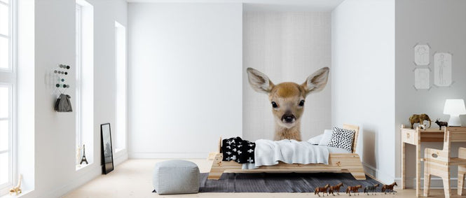PHOTOWALL / Baby Deer (e322756)