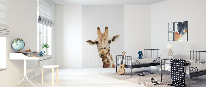 PHOTOWALL / Giraffe (e322762)