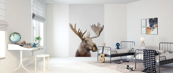 PHOTOWALL / Moose (e322765)