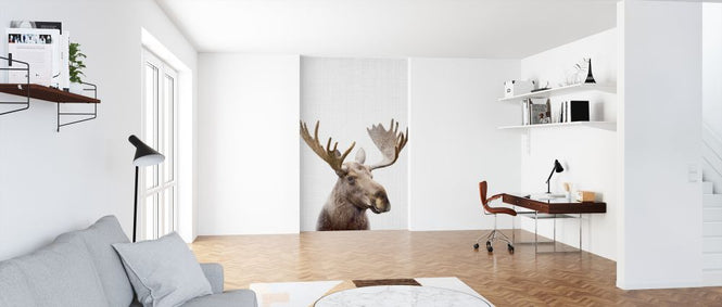 PHOTOWALL / Moose (e322765)
