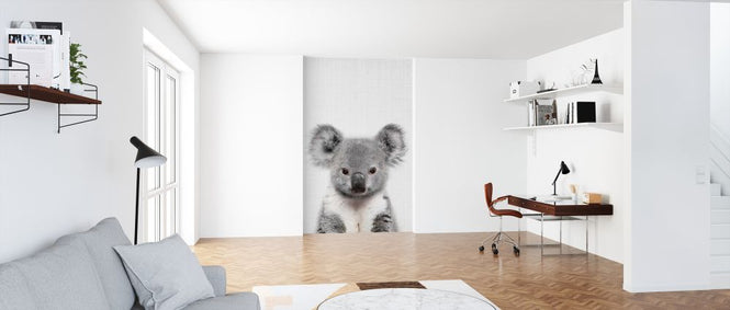 PHOTOWALL / Baby Koala (e322766)