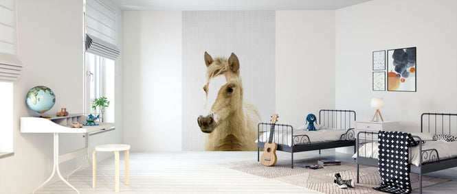 PHOTOWALL / Foal (e322767)