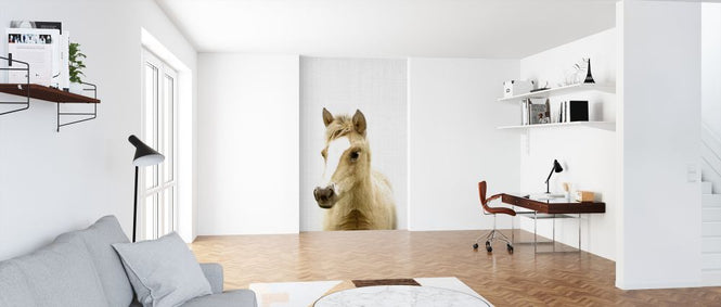 PHOTOWALL / Foal (e322767)