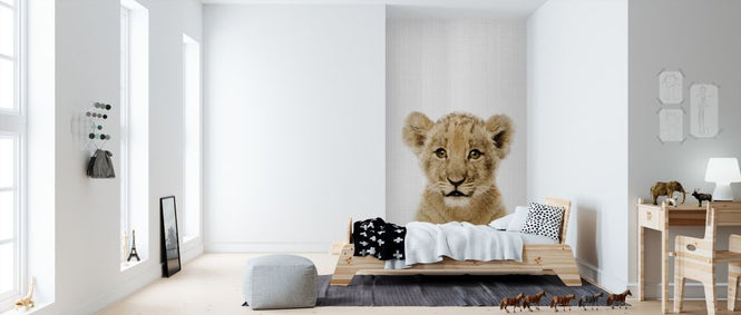 PHOTOWALL / Baby Lion (e322771)