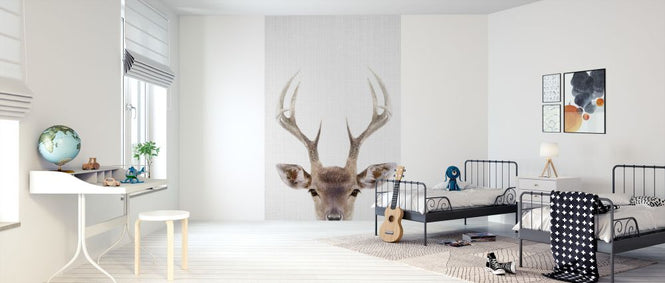 PHOTOWALL / Deer (e322774)
