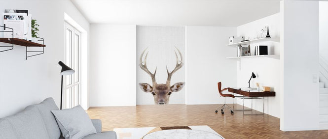 PHOTOWALL / Deer (e322774)