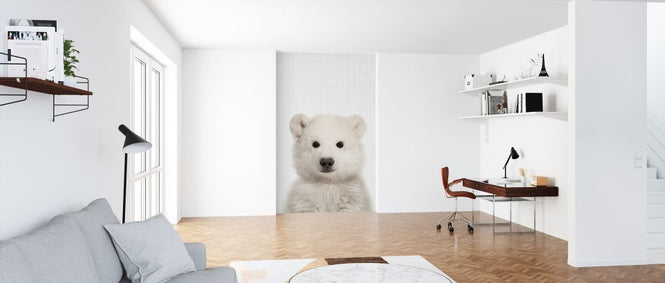 PHOTOWALL / Baby Polar Bear (e322777)