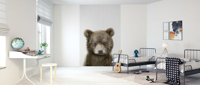 PHOTOWALL / Baby Bear (e322781)