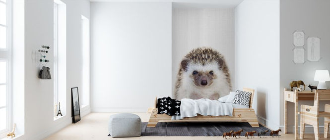 PHOTOWALL / Hedgehog (e322784)