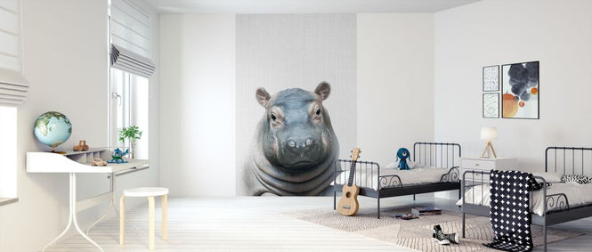 PHOTOWALL / Baby Hippo (e322792)