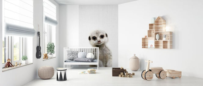 PHOTOWALL / Baby Meerkat (e322793)