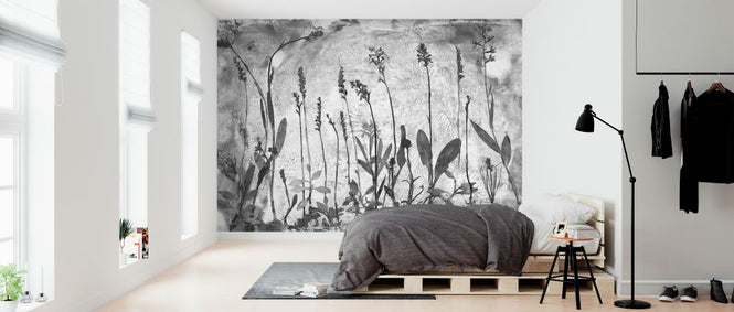 PHOTOWALL / Orchidaceae (e323117)
