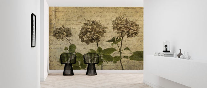 PHOTOWALL / Hydrangea (e321081)
