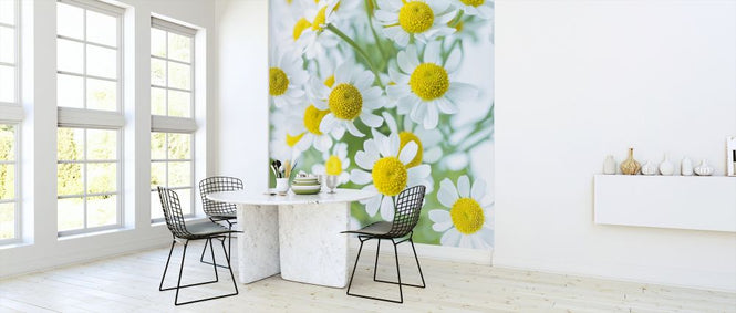 PHOTOWALL / Daisies (e321101)