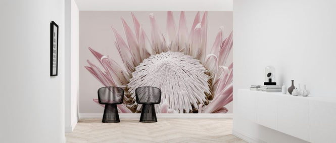 PHOTOWALL / King Protea (e322866)